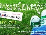 K&Bhouse85