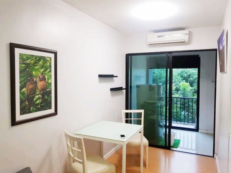 Condo for rent I CONDO Sukhumvit 105