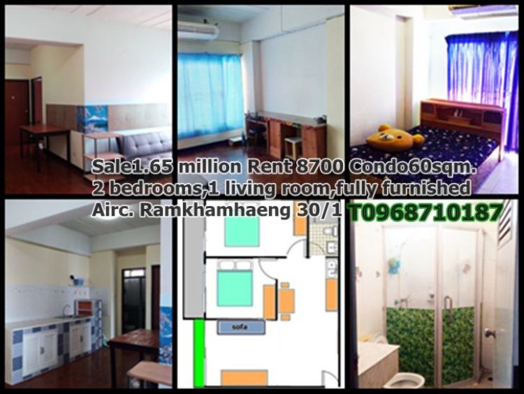 2bedrooms60sqm rental8000 fully furnished,airc,pets allowed