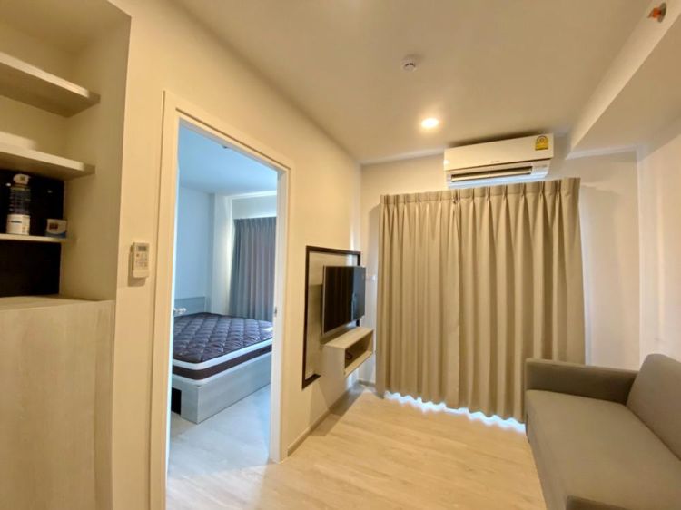 Escent Condominium for rent ne