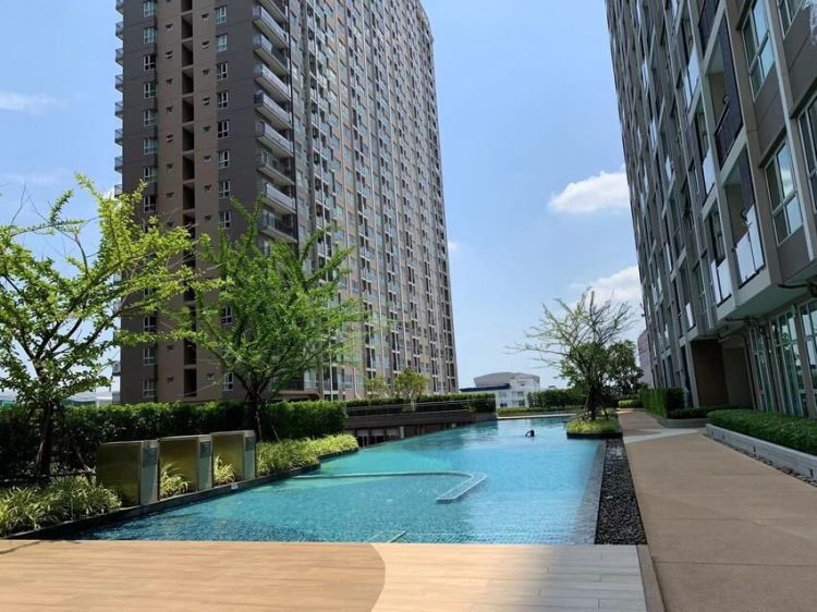 Condo phetkasem for rent Supalai Veranda Phasi Charoen