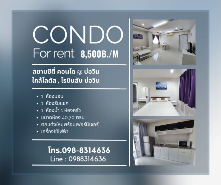 condo for rent near Robinson b